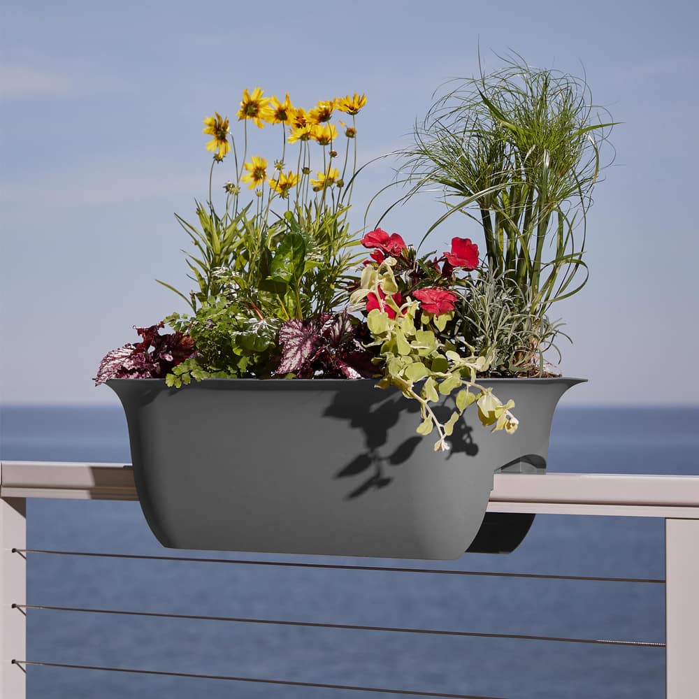 Bloem Modica Rail Plastic Oval Planter, Assorted Sizes & Colours ...