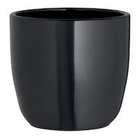 CANVAS Tusca Indoor Ceramic Round Planter, 12-cm, Assorted Colours