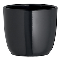 CANVAS Tusca Indoor Ceramic Round Planter, 17-cm, Assorted Colours