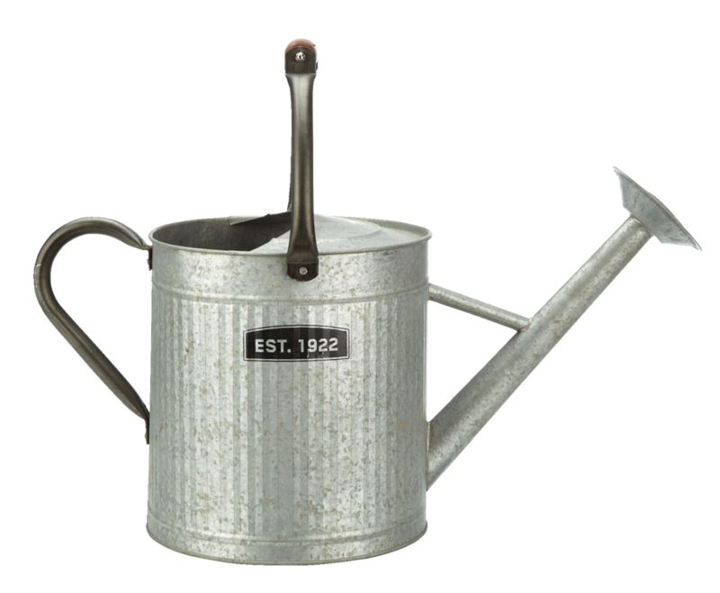 Panacea Vintage Style Decorative Watering Can w/ Wooden Handle, 7.5L, Silver Canadian Tire
