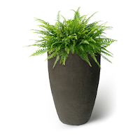 Athena Curve Planter Front_Flat