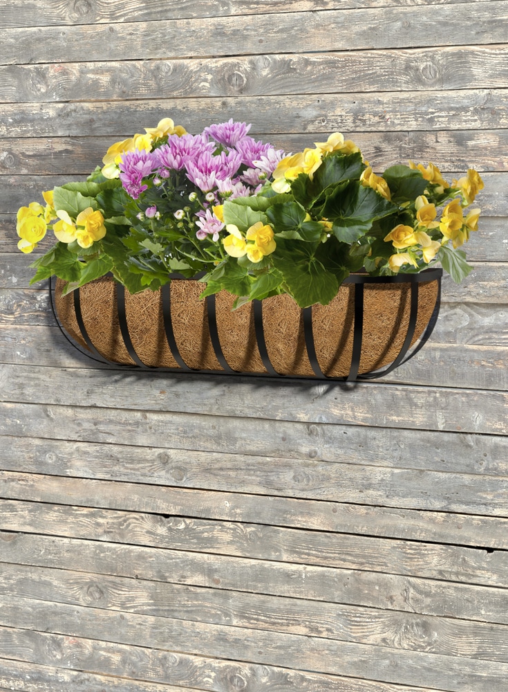 Doublure ronde en fibre de coco pour jardinières suspendues Panacea