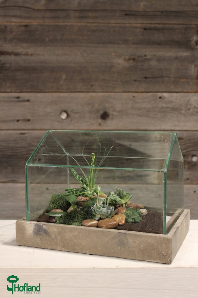 House Terrarium with Base Canadian Tire
