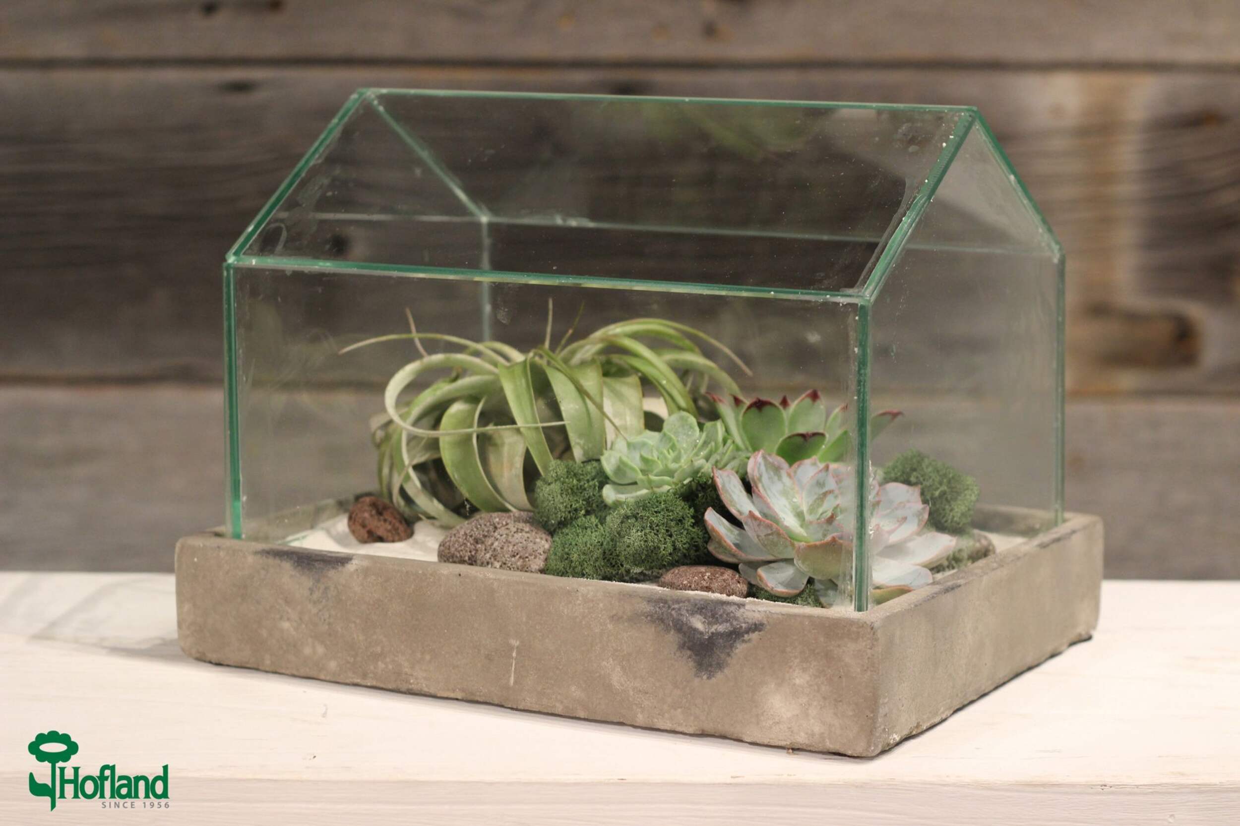 House Terrarium with Base Front_Angled_Left