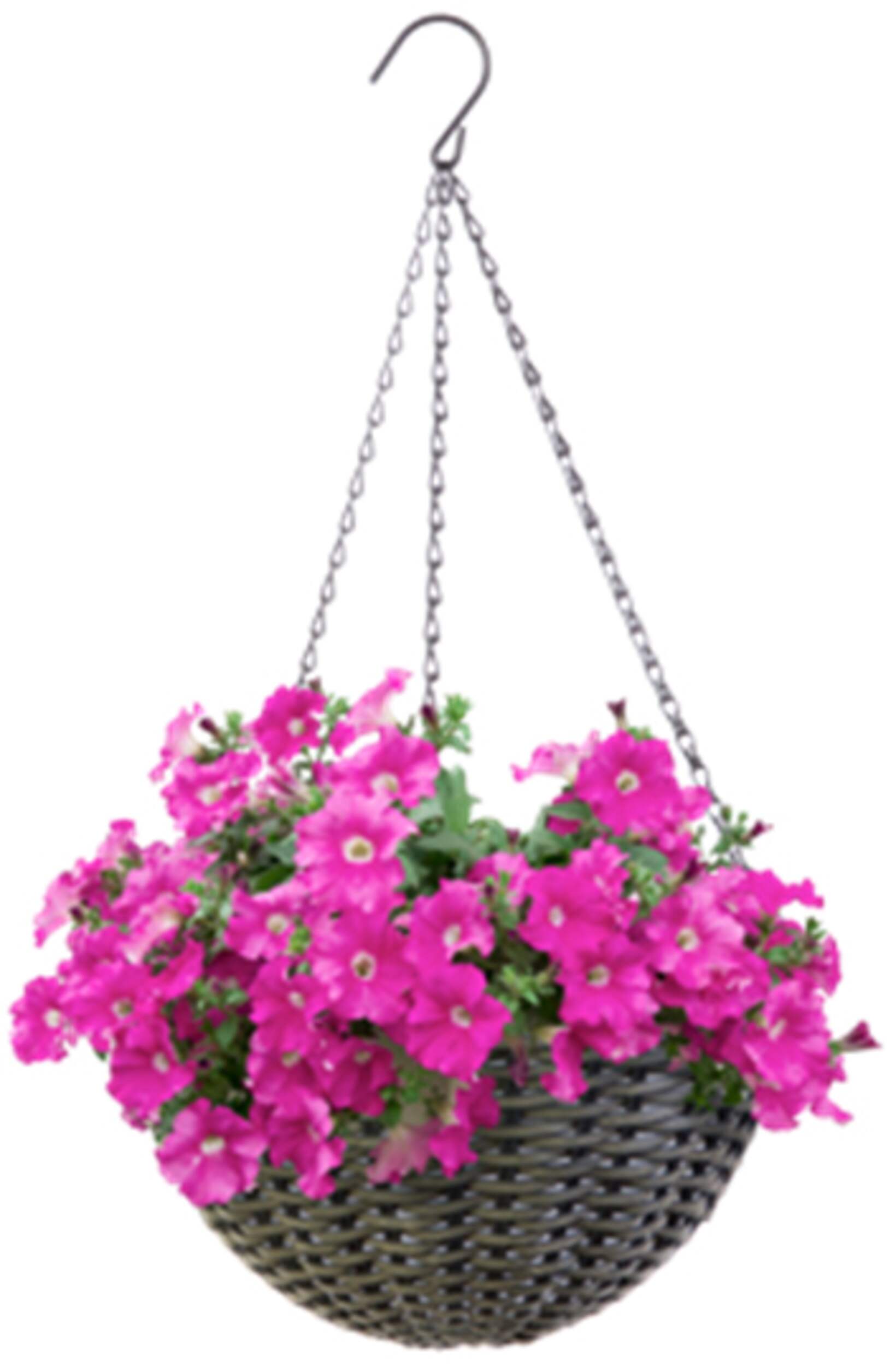 Jardinière ronde suspendue à panier en résine avec crochet à chaîne, 14 po Front_Elevated