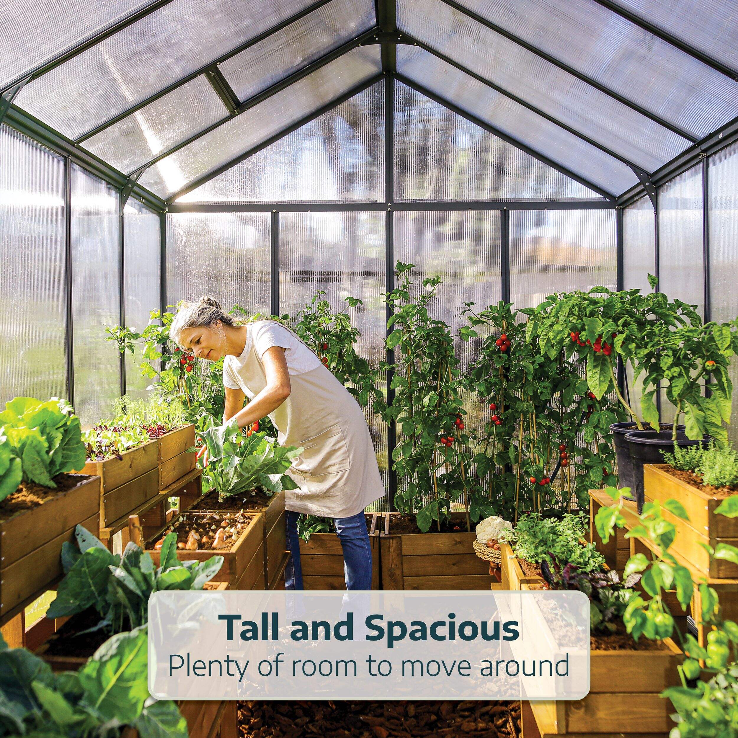 Palram Glory Premium HeavyDuty Greenhouse, 8ft x 8ft Canadian Tire