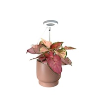 Adjustable LED Indoor Plant Grow Light with Timer