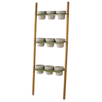 CANVAS Ladder Plant Stand with 9 Pots, Wood, Green Front_Three_Fourths_Angled_Left