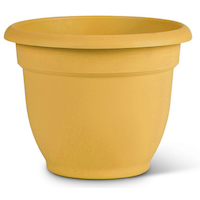 Bloem Ariana Self Watering Plastic Planter, Assorted Sizes, Yellow Front_Elevated