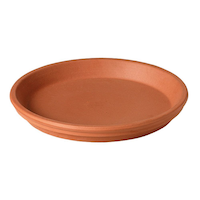 Clay Terra Cotta Round Plant Saucer Tray, Assorted Sizes, Brown