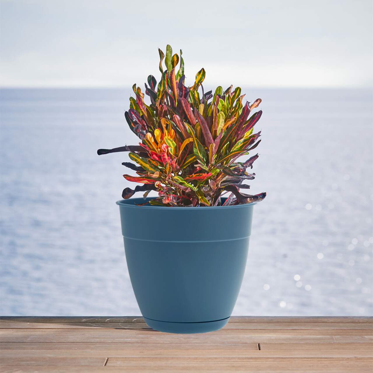 Bloem Dayton Series Planter Blue Canadian Tire