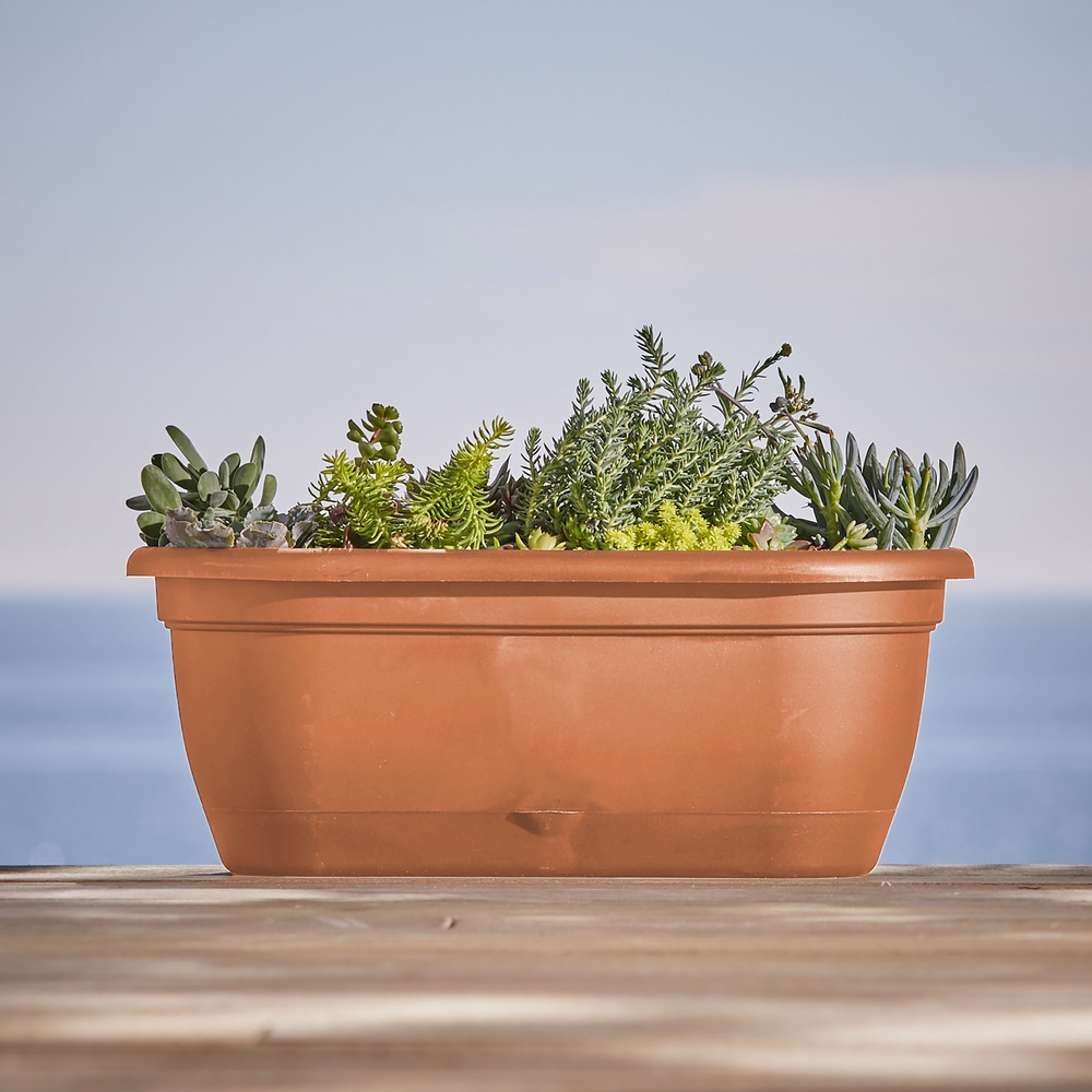 Bloem Lucca Self Watering Plastic Oval Balcony Window Box Planter, 18