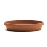 Bloem Terra Plastic Round Plant Saucer Tray, Assorted Sizes, Terra Cotta Front_Elevated