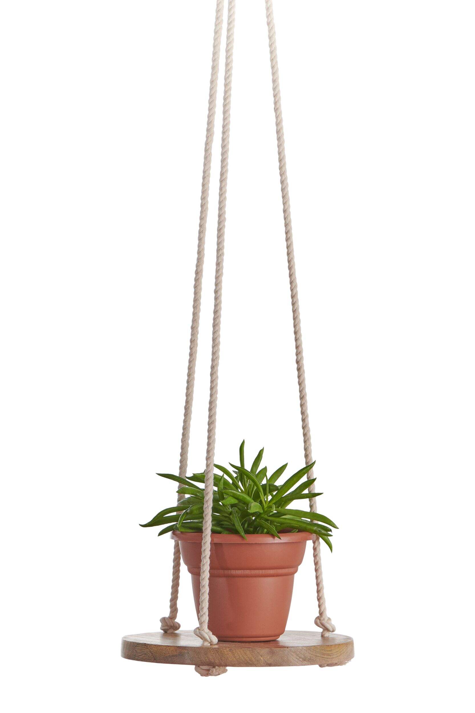 6" Wooden Hanger