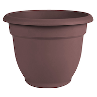 Bloem Ariana Self Watering Plastic Round Planter, UV-Resistant, 10-in, Assorted Colours Front_Elevated