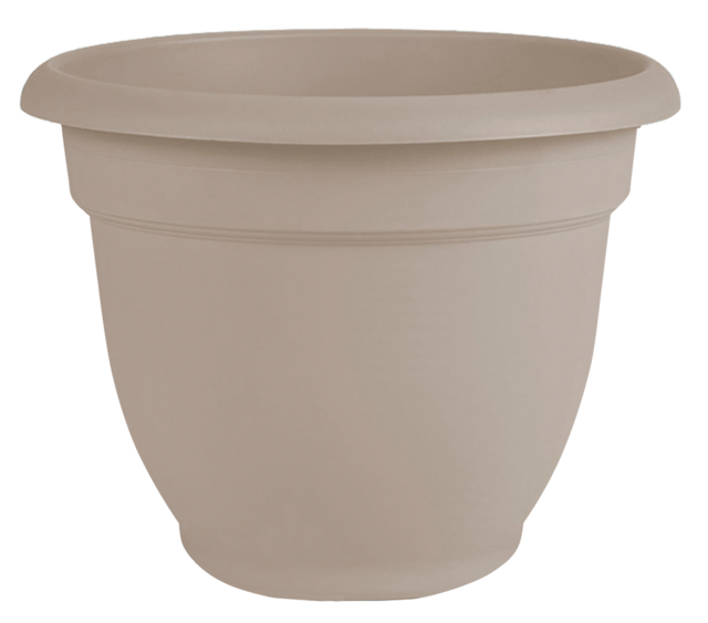 Bloem Self Watering Plastic Planter, 16in, Assorted Colours Canadian