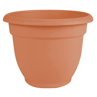 Bloem Self Watering Plastic Planter, 20-in, Assorted Colours Front_Elevated
