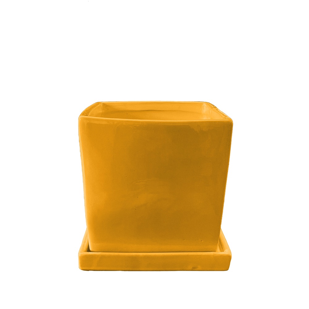 capri-decorative-garden-square-ceramic-planter-with-saucer-8-in