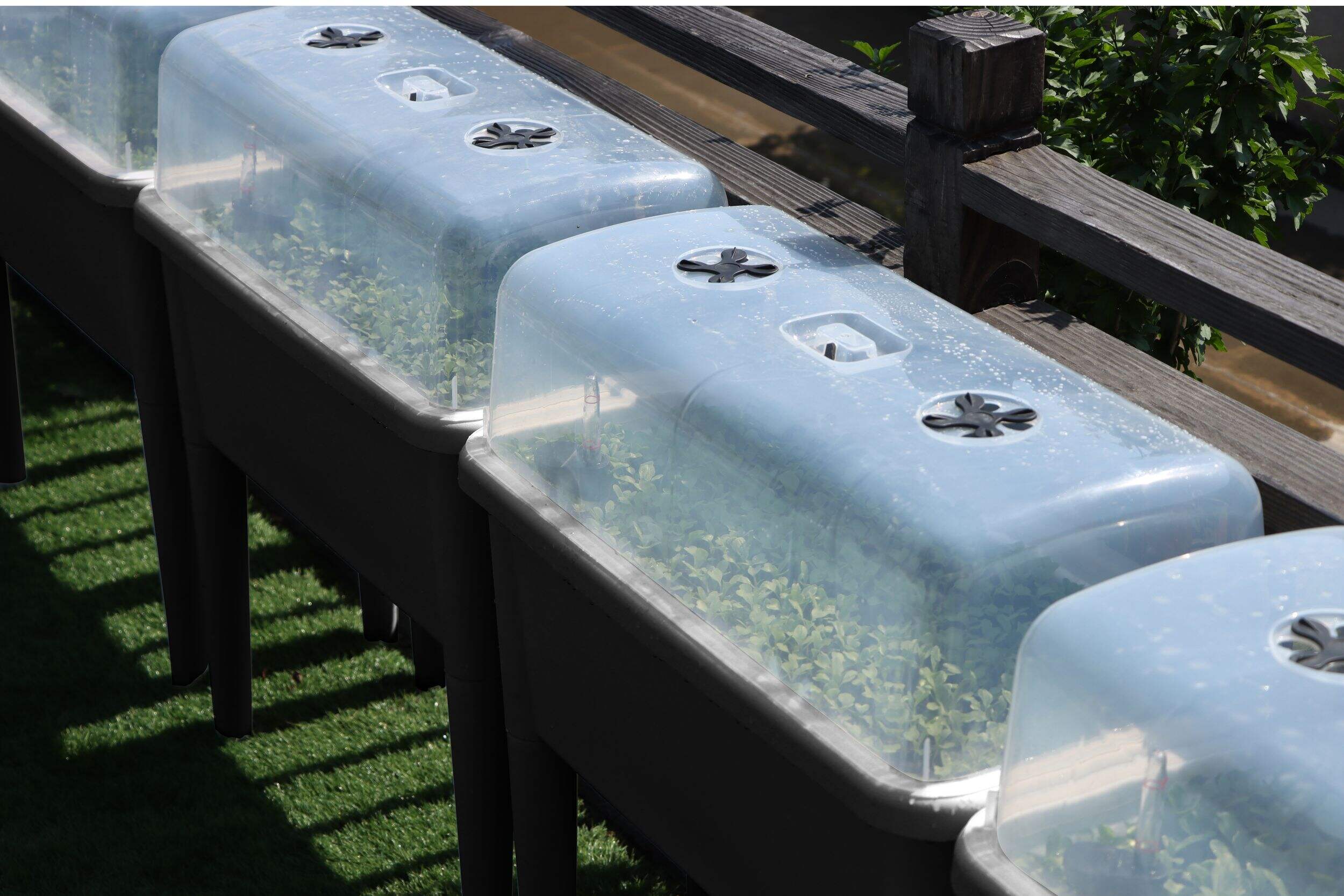 Raised Seed Starting Greenhouse Canadian Tire