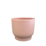 Palma Planter Ceramic Indoor Decorative Planter, 6-in, Rose Front_Elevated