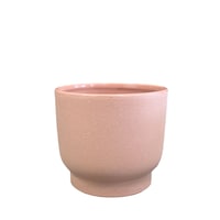 Palma Planter Ceramic Indoor Decorative Planter, 6-in, Rose Front_Elevated