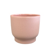 Palma Planter Ceramic Indoor Decorative Planter, 8-in, Rose Front_Elevated