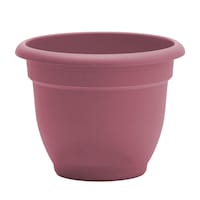 Bloem Ariana Self-Watering Planter, Round, 21.5-in W x 17-in H x 21.5-in D, Dusty Pink Front_Elevated