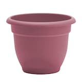 Bloem Ariana Self-Watering Planter, Round, Dusty Pink, 6-in Front_Elevated