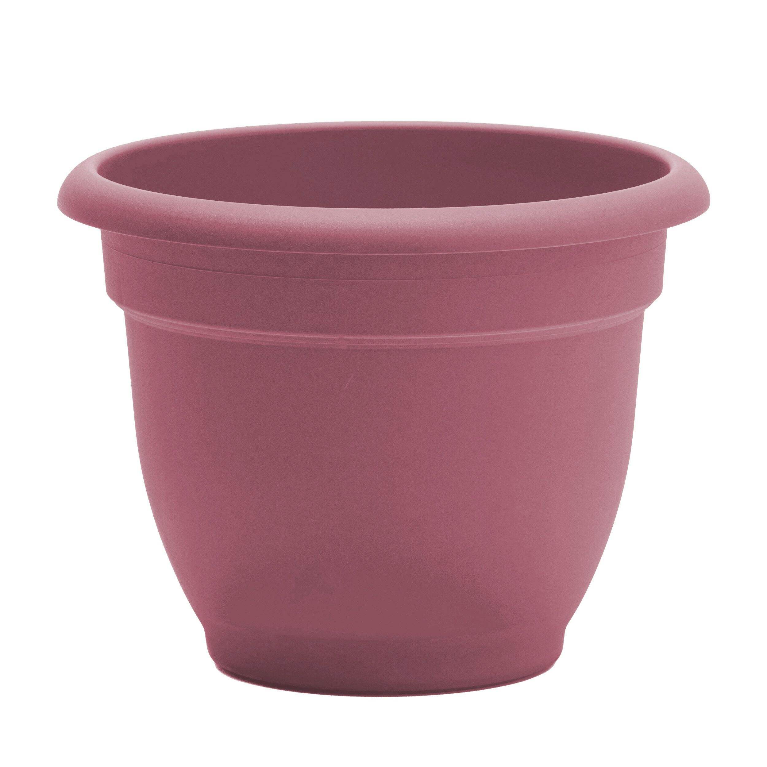 Bloem Ariana Self-Watering Planter, Round, Dusty Pink, 6-in Front_Elevated