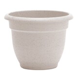 Bloem Ariana Self-Watering Planter, Round, Vanilla Bean, 6-in Front_Elevated