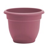 Bloem Ariana Self-Watering Planter, Round, 13-in W x 10-in H x 13-in D, Dusty Pink Front_Elevated