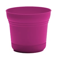 Bloem Saturn Planter with Saucer, Round, Resin, Fuchsia, 10-in