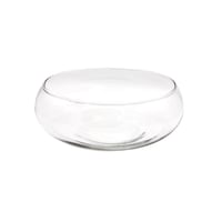 Panacea Flat Glass Terrarium Bowl, Clear Glass, 10-in