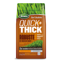 Mélange de semences à gazon Scotts Turf Builder Quick + Thick robuste et résistant, 12-0-0, 1,2 kg Front_Flat