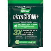 Golfgreen Nitrogrow+ Premium Nitrogen Enriched Sun and Shade Grass Seed with Fertilizer,  14-0-0, 1.2kg Front_Flat