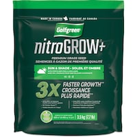Golfgreen Nitrogrow+ Premium Nitrogen Enriched Sun and Shade Grass Seed with Fertilizer,  14-0-0, 3.5kg