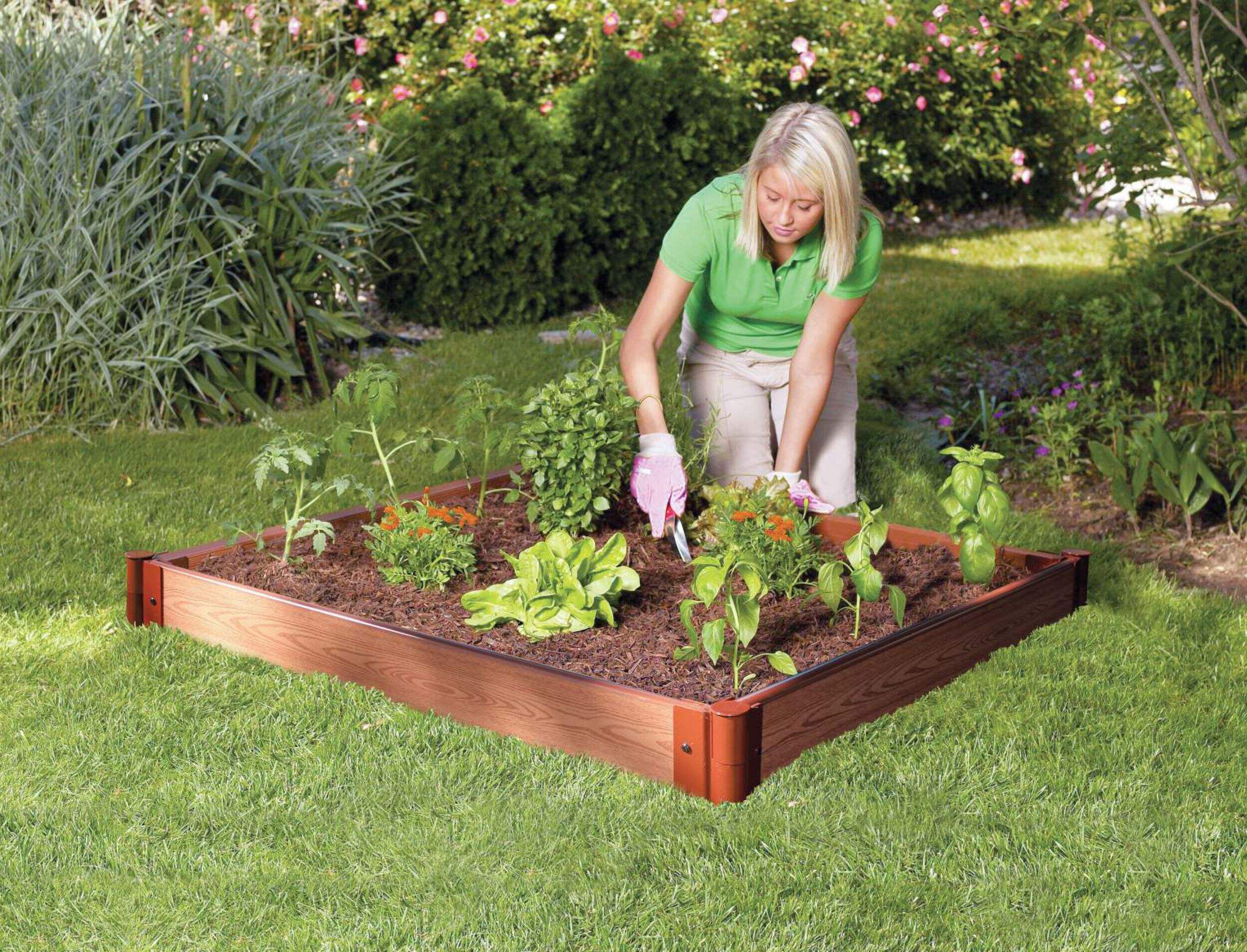 Frame It All Outdoor Wooden Raised Garden Bed Planter, Expandable, 4-ft x 4-ft x 5.5-in Overhead_Plunge