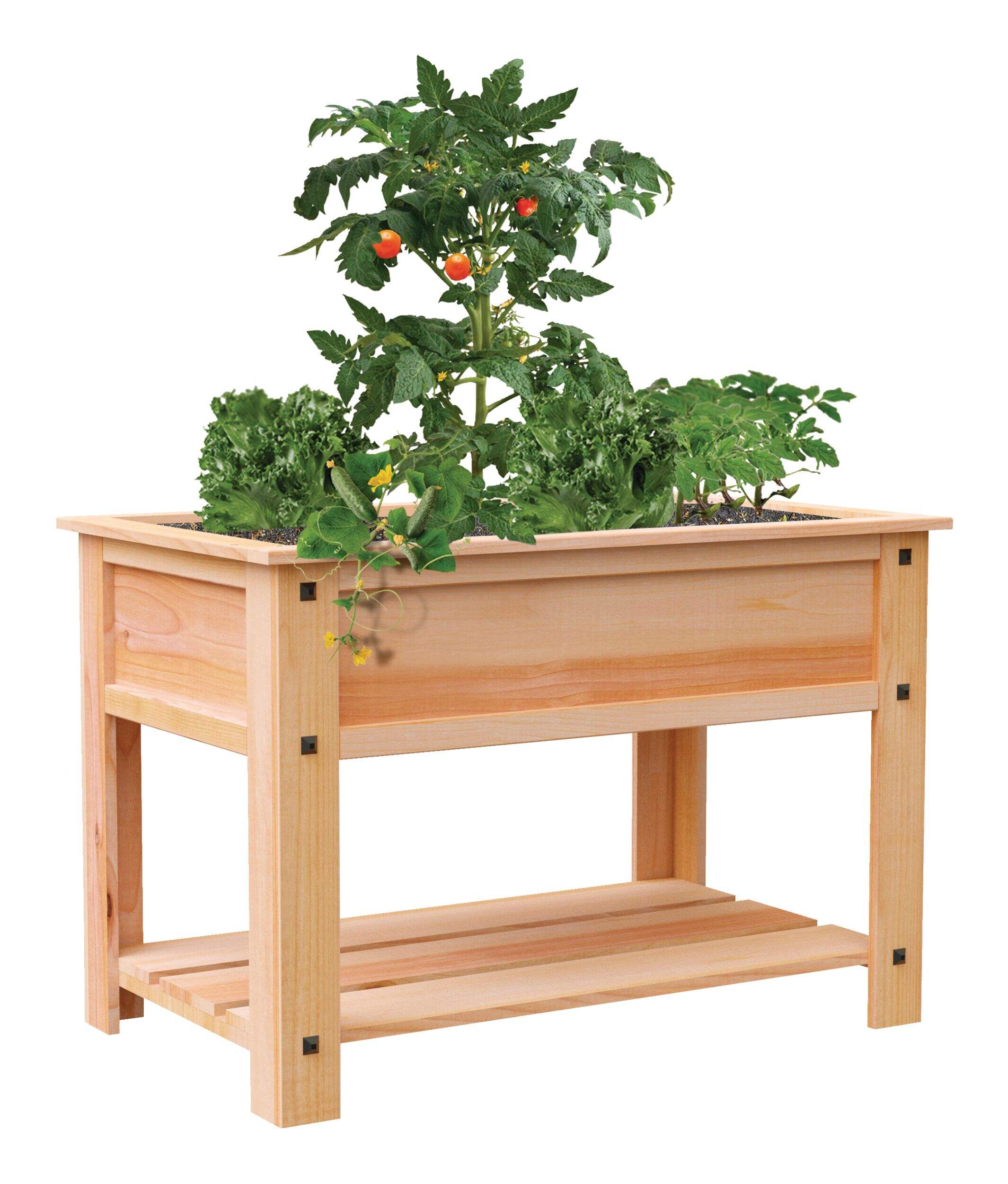 Panacea Indoor & Outdoor Cedar Raised Garden Bed Planter, 47.5 x 22 x 33-in Front_Angled_Right