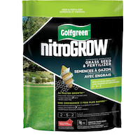 Golfgreen NitroGROW Nitrogen-Enriched Grass Seed & Fertilizer Mix, 2-5-2, 1-kg Front_Flat