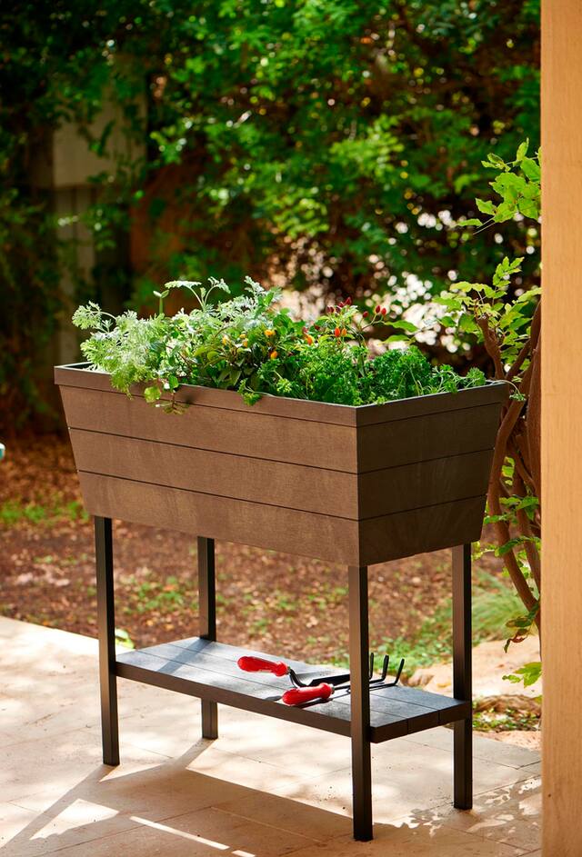 Keter Urban Bloomer Raised Garden Bed Canadian Tire