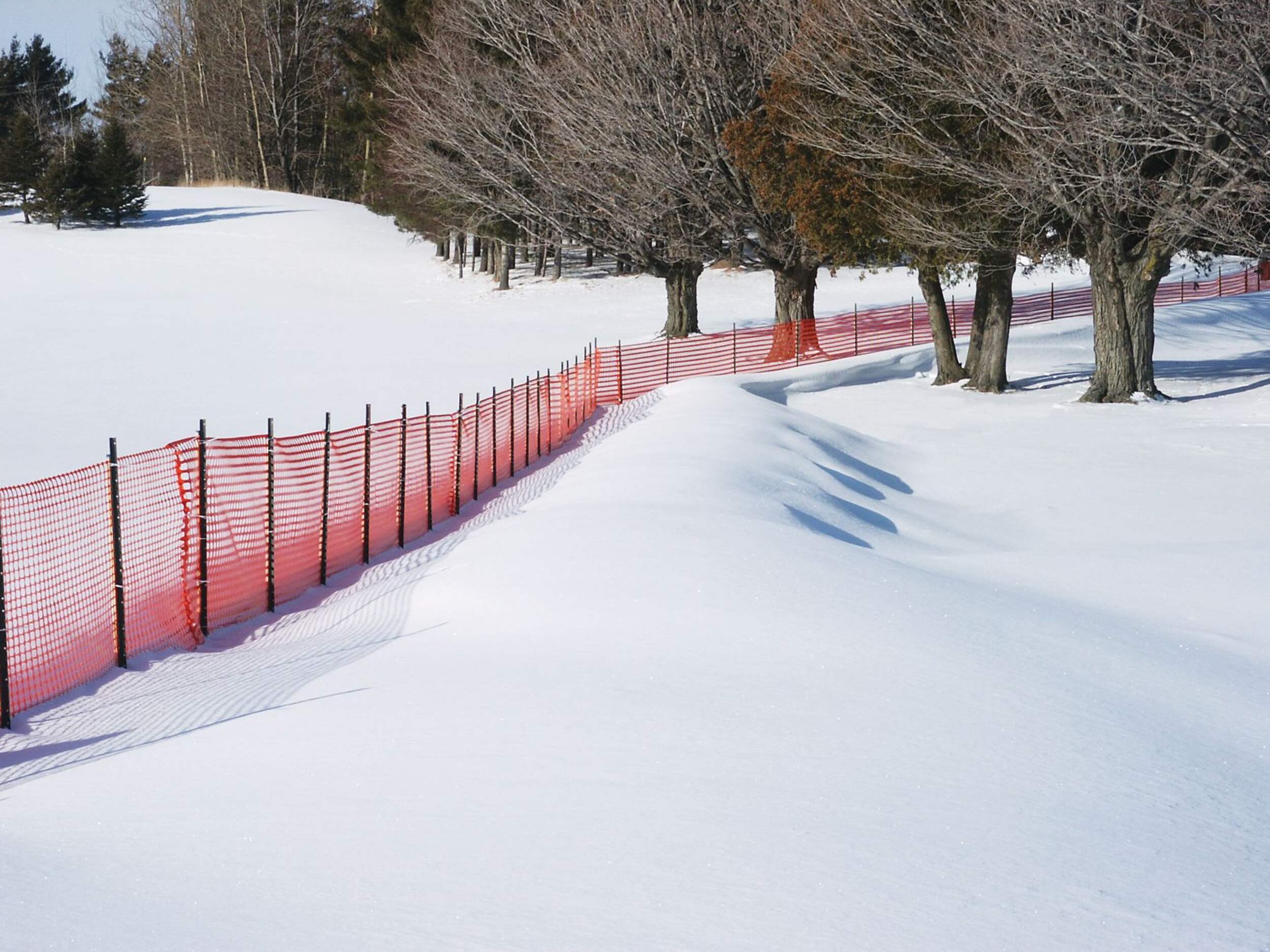Quest Select Snow Guard Fence, Reusable, 4-ft x 50-ft, Orange Composite_or_Mixed