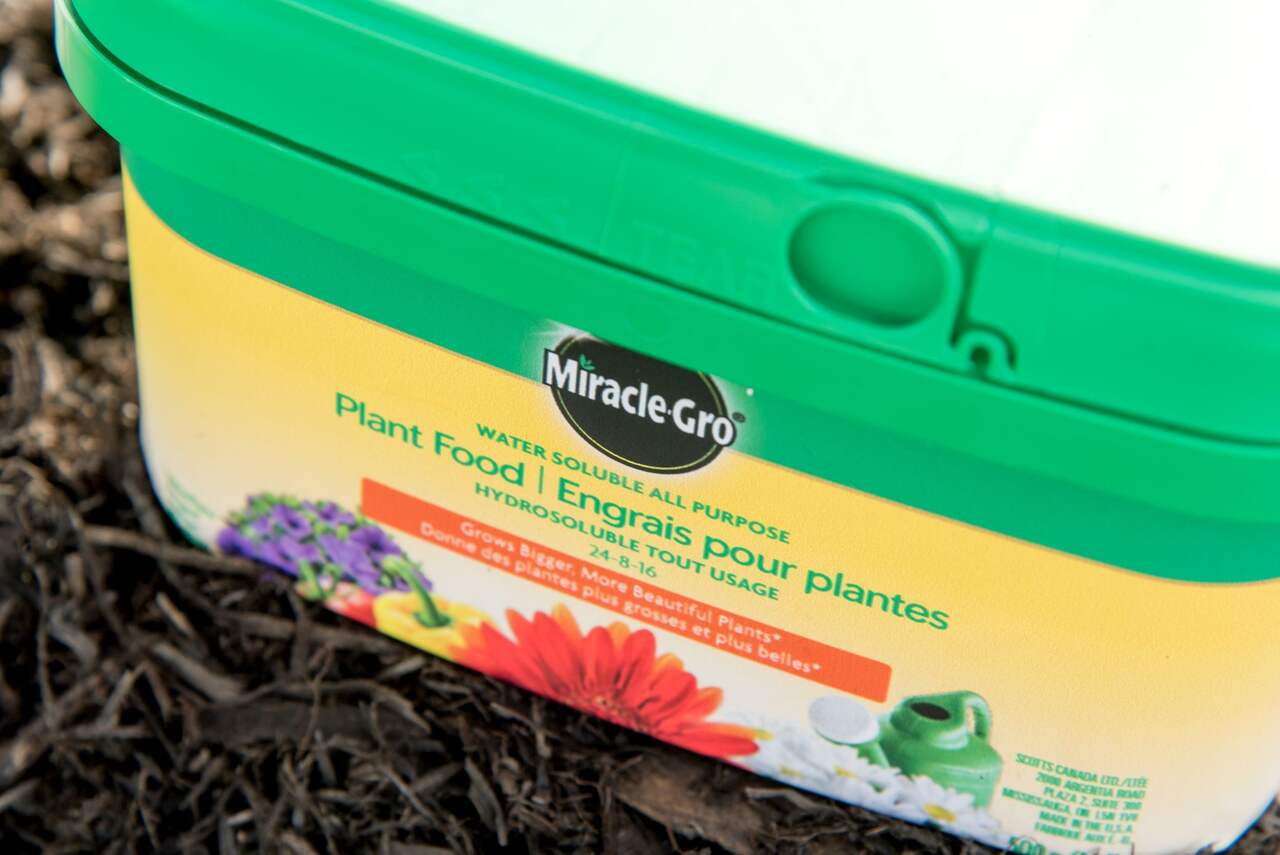 Miracle-Gro Nourriture hydrosoluble tout usage pour plantes