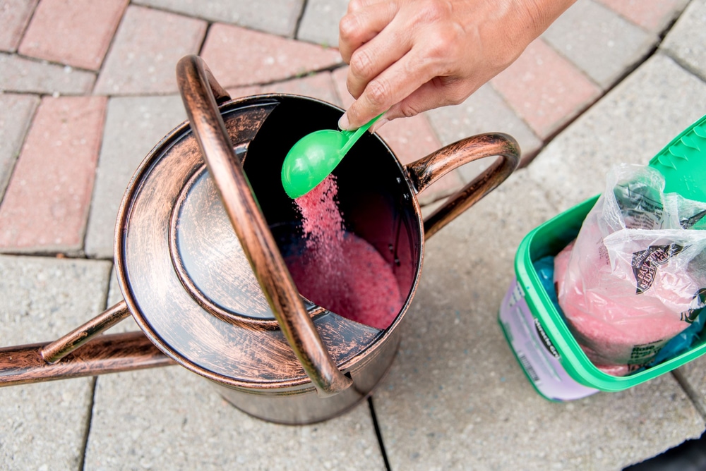 MiracleGro® Water Soluble Bloom Booster Plant Food, 153015, Assorted