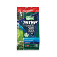 Golfgreen 1-Step Lawn Fertilizer, 9-kg Front_Flat