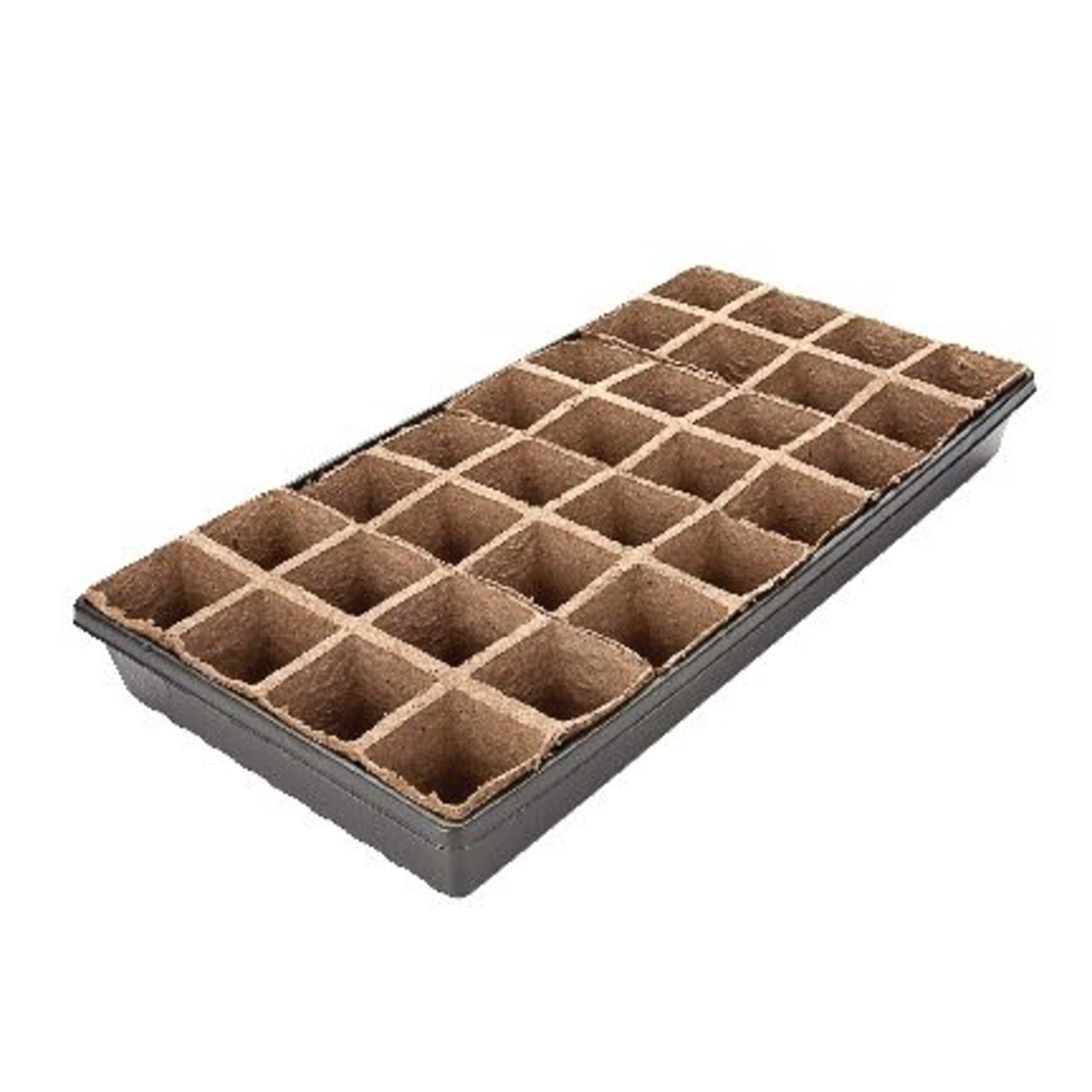 Jiffy 32 Cells Seed Starting Tray, Biodegradable, 11-in Front_Angled_Right