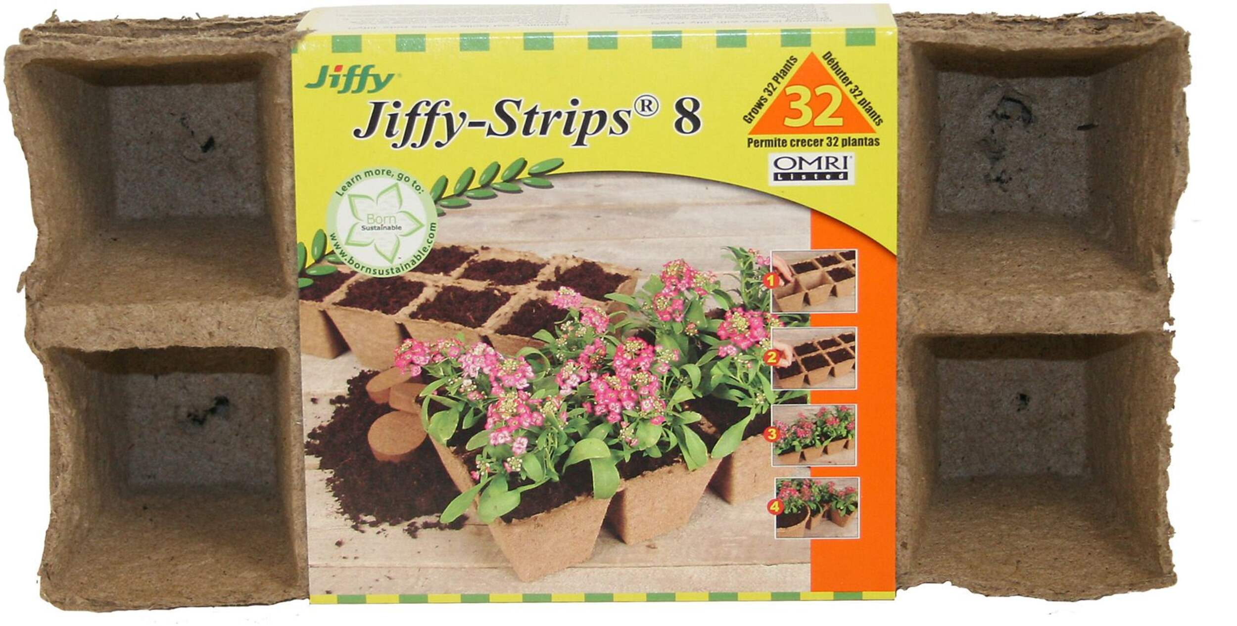 Contenant en tourbe pour semis à 32&nbsp;cellules Jiffy, biodégradable Front_Flat