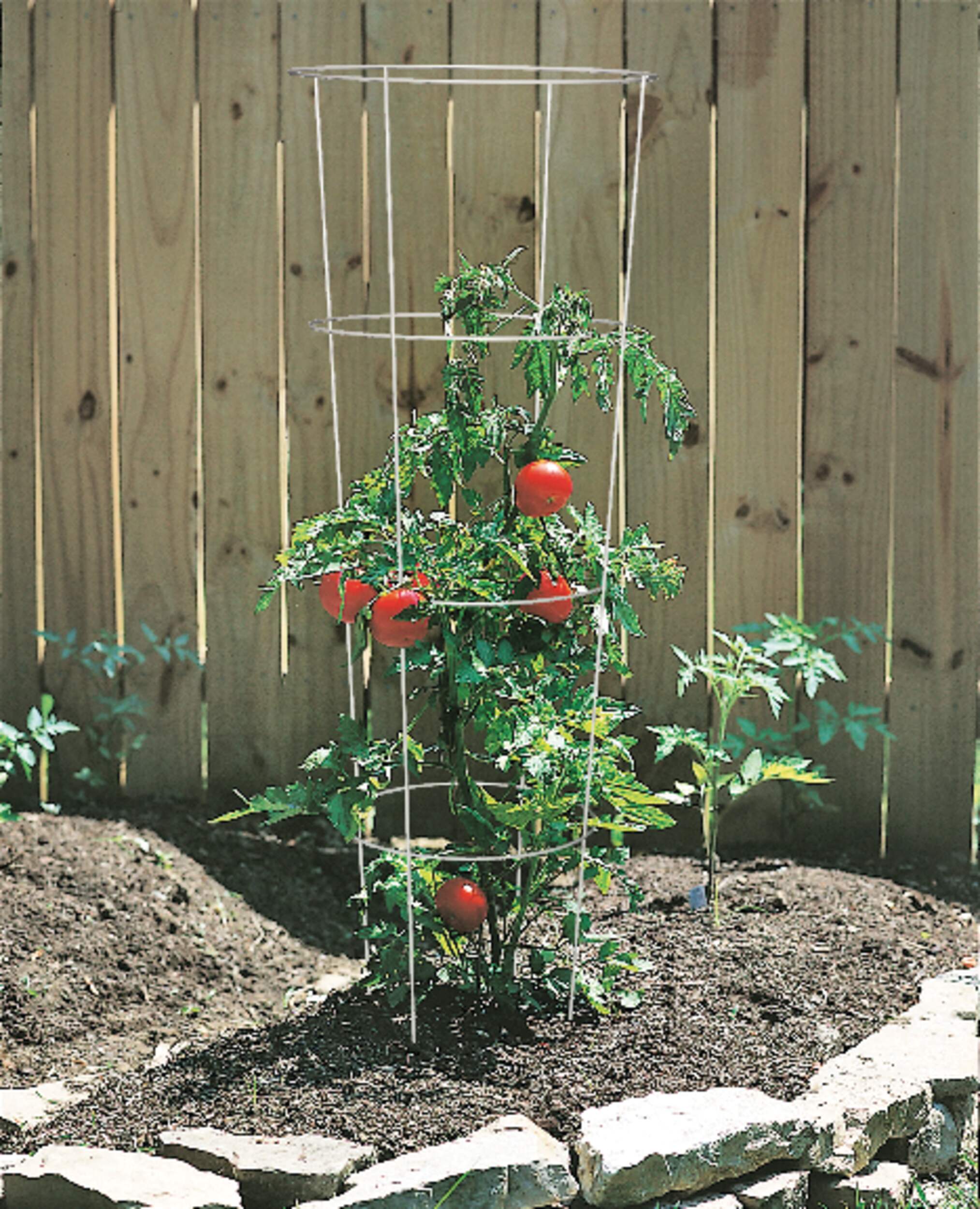 Galvanized Metal Tomato Plant Support Cage, For Larger Plants, 54in