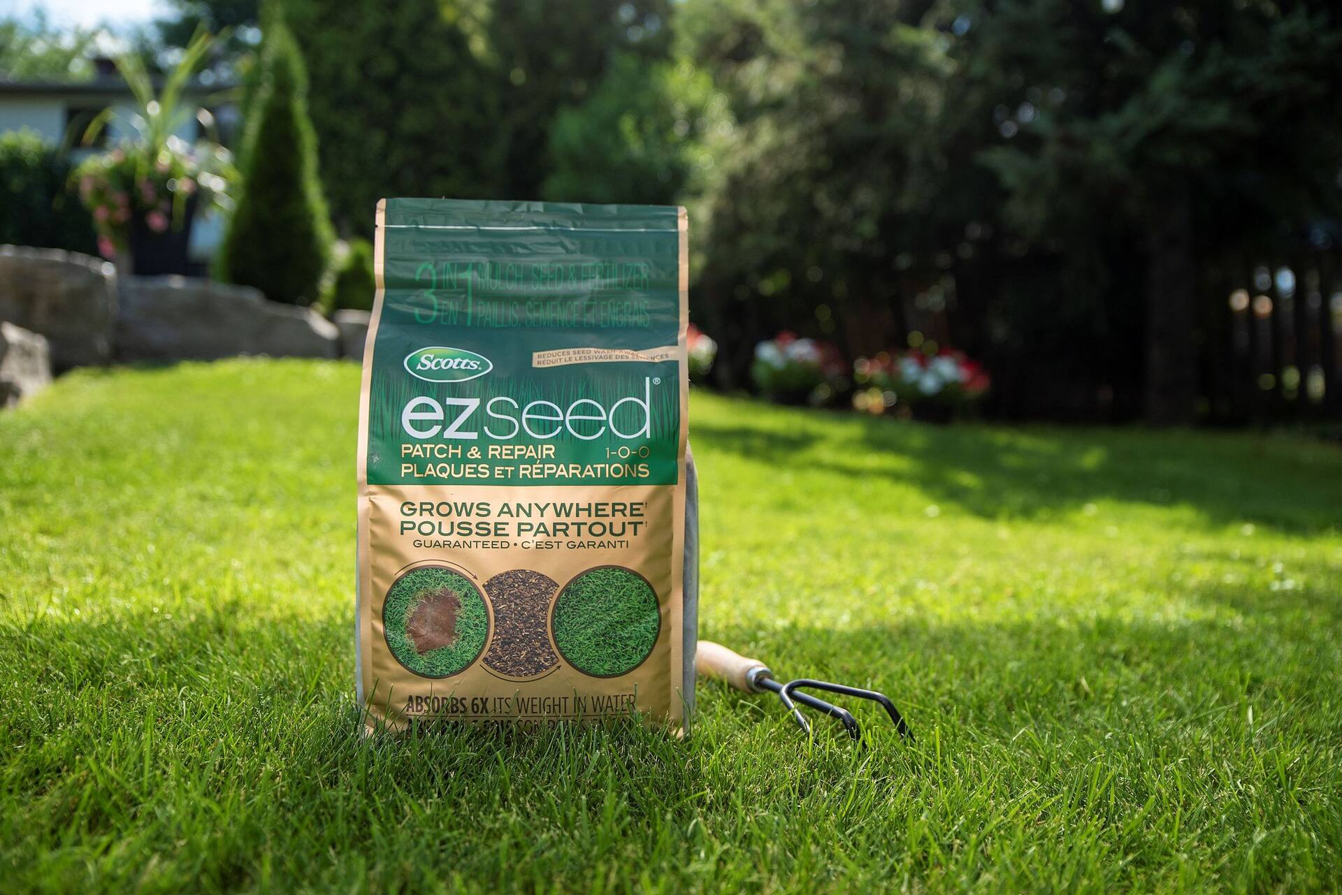 Scotts ez online seed