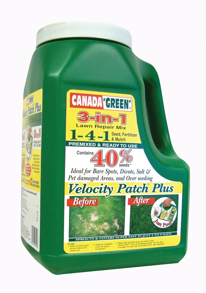 Canada Green Velocity Patch Plus Grass Seed, 1 kg Canadian Tire