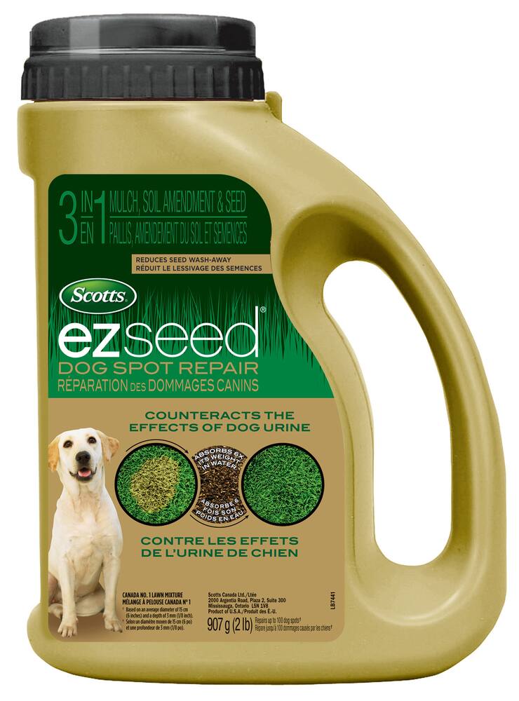 how long to keep dogs off grass seed